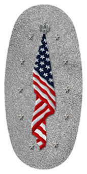 DASOV 421 SH SL Flag at Rest Shimmer Silver